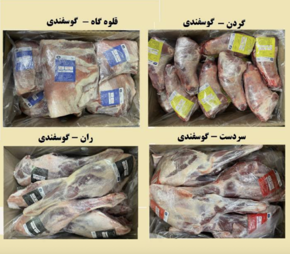 گوشت منجمد گوسفندی مغولستانی ۵ تیکه
